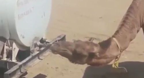 20151209162004208aa 20151209162004208aa