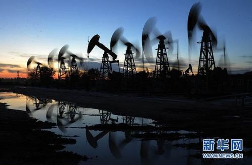 东北三省多地统计数据“注水” 惊动中央巡视组 东北三省多地统计数据“注水” 惊动中央巡视组