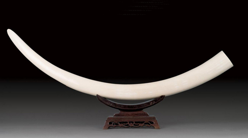 406186eabb5713eeb19d24 406186eabb5713eeb19d24