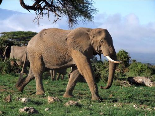 1447053831879 1447053831879