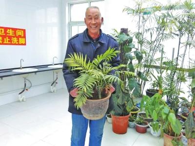 郑州一位大爷几经努力 把公厕收拾得像花房一样 郑州一位大爷几经努力 把公厕收拾得像花房一样