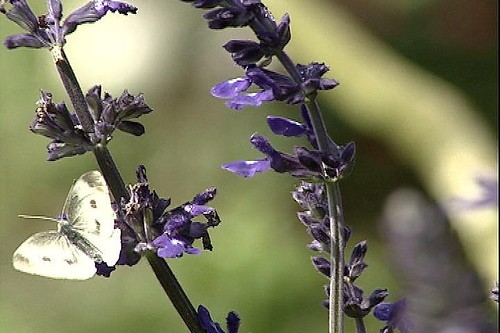 6d52e0ed492f69c48b3b8&690 6d52e0ed492f69c48b3b8&690