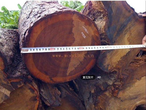 mp45989939_1449060596647_2 mp45989939_1449060596647_2