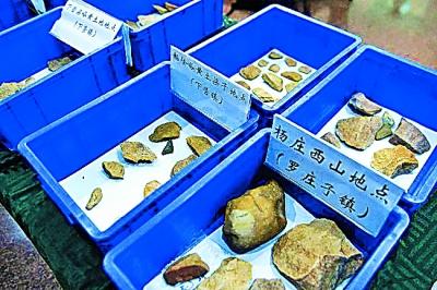 蓟县考古出土石制品 资料图片 蓟县考古出土石制品 资料图片