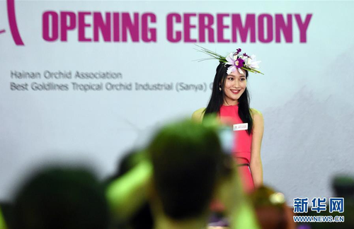 QQ截图20151211170207