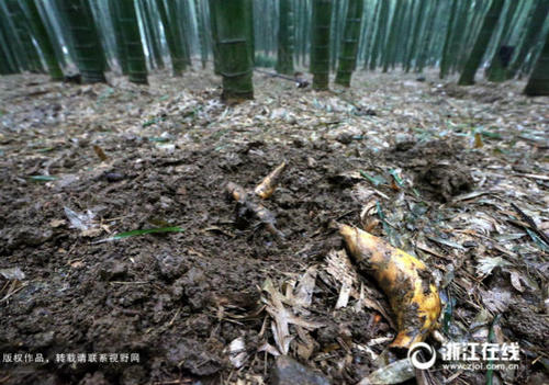 128519191_14497879547051n 128519191_14497879547051n