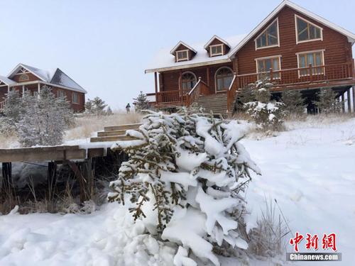 17335d4709a64c5b97f6072e985eed02