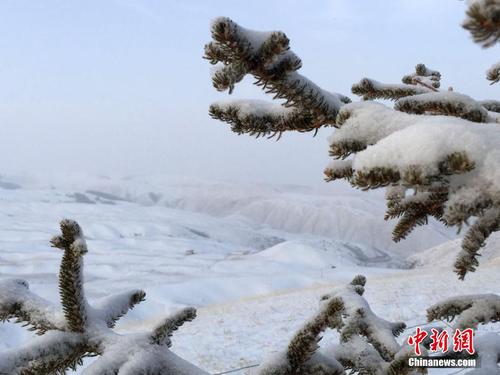 a7ce9a0ef7374967874ca5921c8b0965