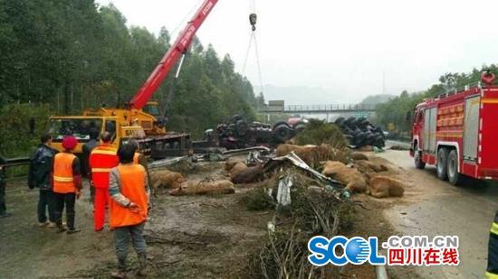 3042854272 3042854272