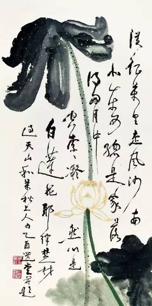 B20151214006-zx9 B20151214006-zx9