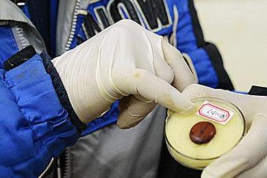 0023248155c617d931a33b 0023248155c617d931a33b