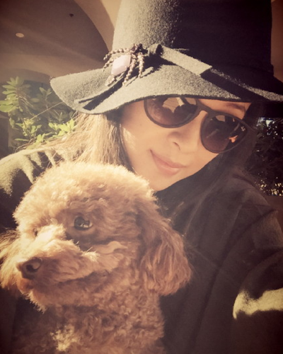 　章子怡晒出与宠物狗的合影否认生子传闻