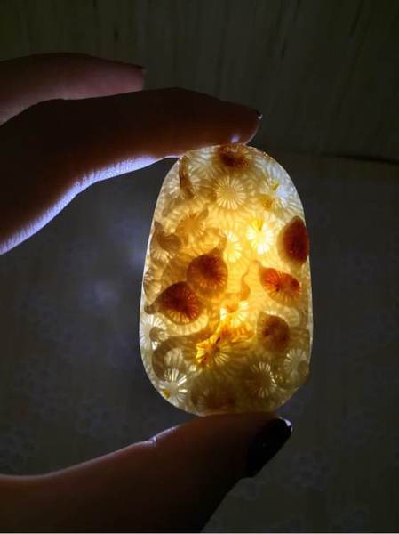 cbb7afd3fd1f4134a3fa37e8231f95cad3c85efb cbb7afd3fd1f4134a3fa37e8231f95cad3c85efb