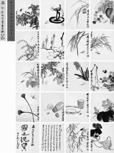 《﹃叶隐闻声﹄花卉工笔草虫册》齐白石尺寸 32cm×:   26cm×18