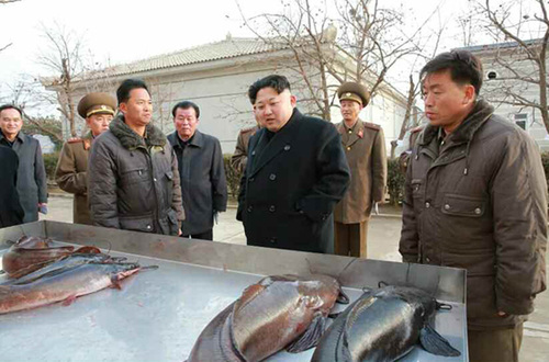 900x600_BB17V1BP00AO0001 900x600_BB17V1BP00AO0001