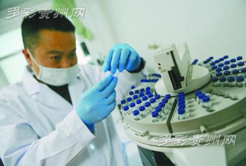 3967457606 3967457606