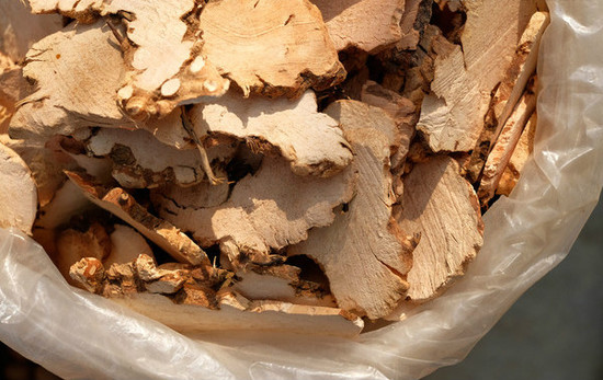 《芈月传》热播淡竹叶、土茯苓刷新认知