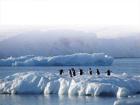 20130515025612183 20130515025612183