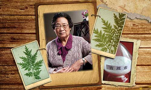 2015121013315883700 2015121013315883700