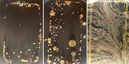 5种电子产品竟然比马桶圈还脏