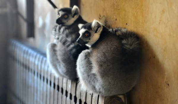 QQ图片20151218113044