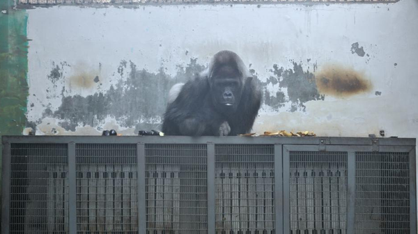 QQ图片20151218113113