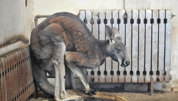 QQ图片20151218113100