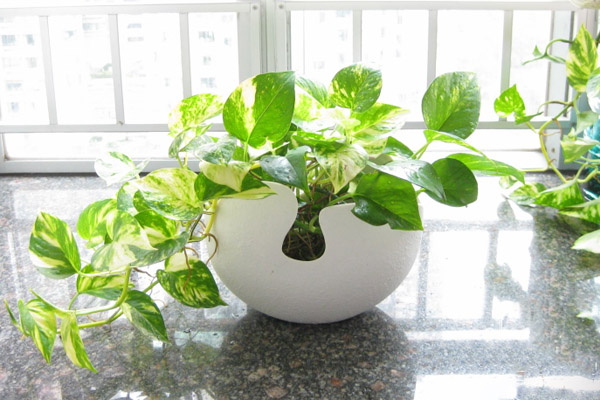 10992700_963847 10992700_963847