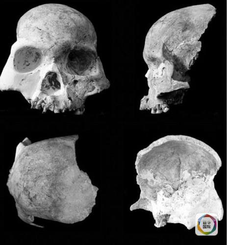 128547374_14504877585251n 128547374_14504877585251n