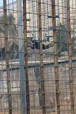 洛阳一男子自索道车跳入虎园护网 称想“练空翻”1 洛阳一男子自索道车跳入虎园护网 称想“练空翻”1