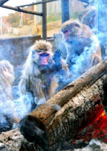 15DD90A8106F1CB96ABD4C0AB1C35AD7 15DD90A8106F1CB96ABD4C0AB1C35AD7