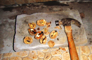 大爷被忽悠买700斤铁核桃 拿回家当炭熏腊肉2 大爷被忽悠买700斤铁核桃 拿回家当炭熏腊肉2