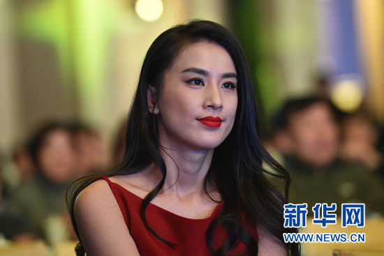 杨子黄圣依获颁2015中国社会责任公益形象大使