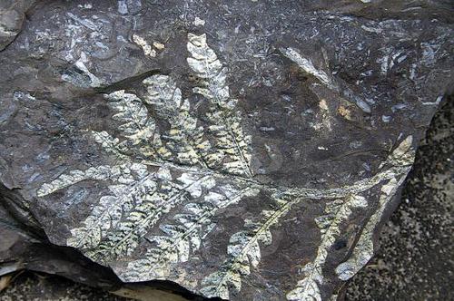 3357667255 3357667255