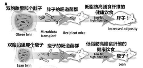 MAIN201512240856000561350363827 MAIN201512240856000561350363827