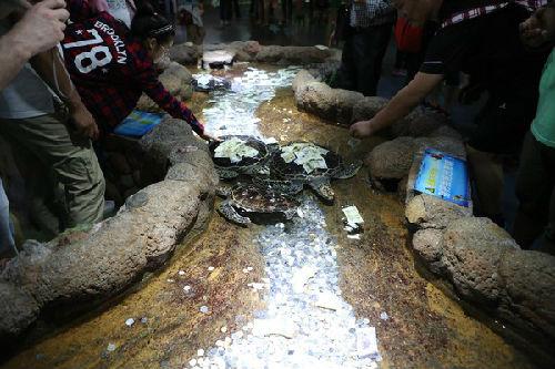 中国旅游黑名单添5名奇葩客 茶杯袭击导游者在列 中国旅游黑名单添5名奇葩客 茶杯袭击导游者在列