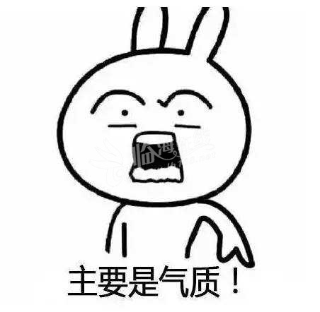 155925fmdppozxmydmmpyo 155925fmdppozxmydmmpyo