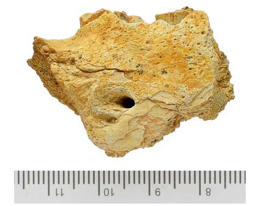 1450930417579967 1450930417579967