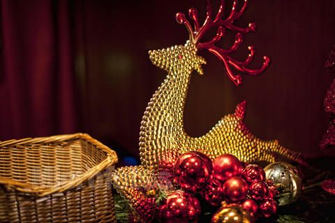 567312preview4 567312preview4