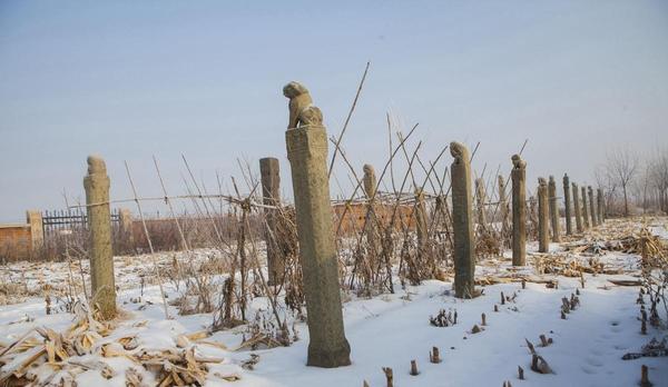 022302l5ox6xvz9ssrxia5 022302l5ox6xvz9ssrxia5