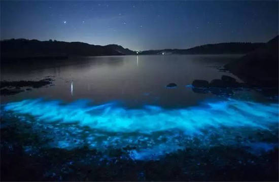 2015122317142574aee_550 2015122317142574aee_550