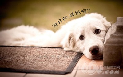 785-150R0142415295 785-150R0142415295