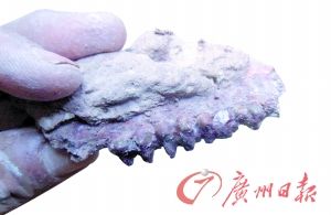 a6fj982073620625596 a6fj982073620625596