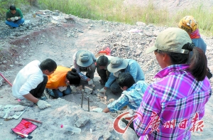 7308302171539385079_11n 7308302171539385079_11n