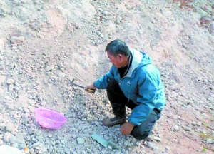 HQVD-fxmxxyv5069740 HQVD-fxmxxyv5069740