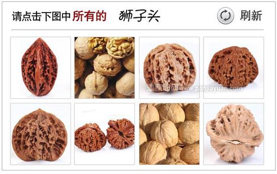 验证码错误，请看正确答案！