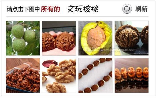 验证码错误，请看正确答案！