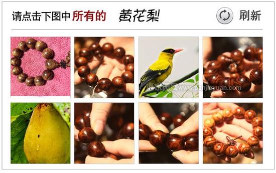 验证码错误，请看正确答案！