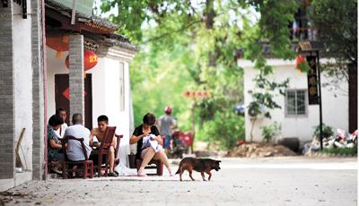 河南信阳一村的“另类”发展:守住村子原有的魂儿2 河南信阳一村的“另类”发展:守住村子原有的魂儿2