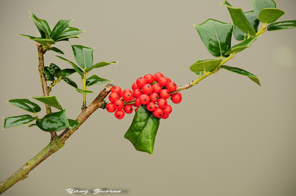 f9dcd100baa1cd119a099af1b912c8fcc2ce2da0 f9dcd100baa1cd119a099af1b912c8fcc2ce2da0